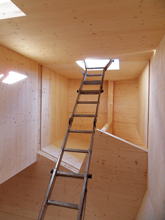 Cross-laminated timber an emerging sector in forestry world
